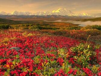 Spring Landscape Wallpaper