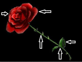Gimp Tutorial Make An Image Background Transparent