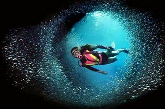 Scuba Diving Wallpaper