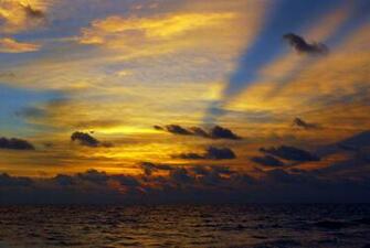 Blue Gold