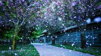 Mississauga Kariya Park Canada Wide HD Paisajes