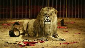 Bad Lion Tamer Good Wallpaper