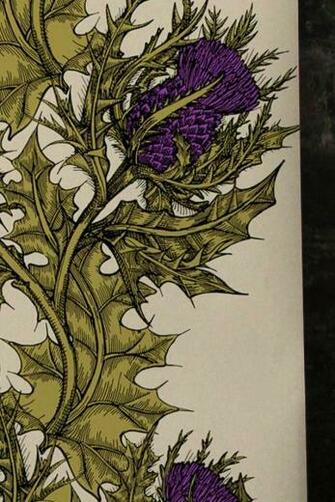 This Thistle Wall Paper From Timorous Beasties Would Be A Nice Nod To