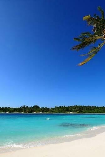 Summer Golden Beach iPhone Wallpaper