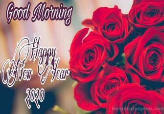 Good Morning Happy New Year Whatsapp Dp Status Image Best