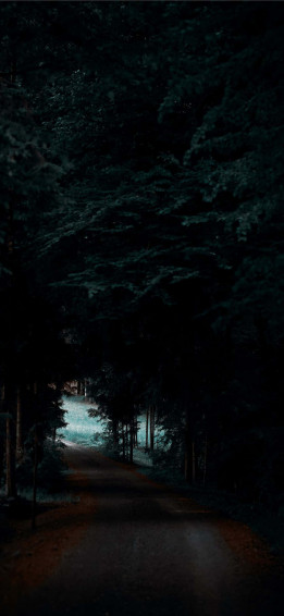 The Beautiful Oled Display Of Apple iPhone X Wallpaper