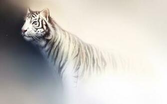 Tiger On White Wallpaper For iPhone Wallpaperlepi