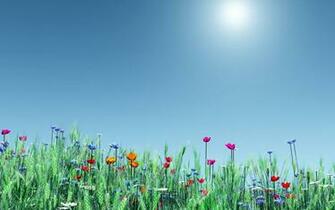 Spring Flowers Windows And Wallpaper All For