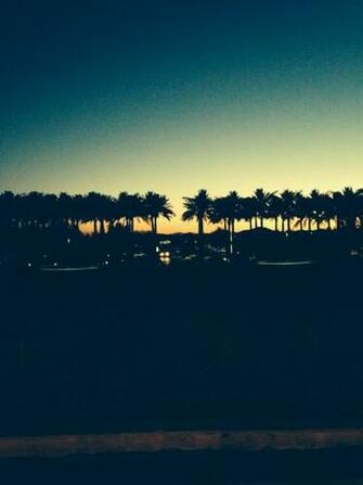 Beautiful Palm Trees At Sunset iPhone Wallpaper
