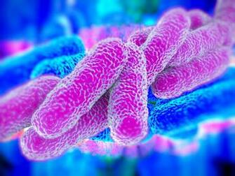 Legionella Water Management Planning Terracon