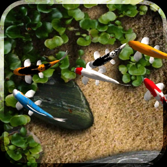 Koi Live Wallpaper Apkdad