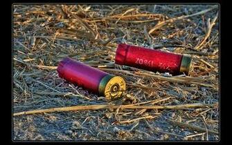 Shotgun Shell Background HD Wallpaper On Picsfair
