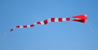 Kites Canada In The Sky Chinese Kite Uttrayan