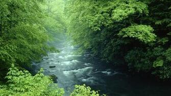 Rivers National Park Great Smoky Mountains Wallpaper