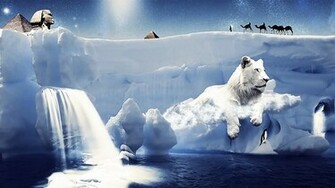 White Lions Are Scarce And That Is What Makes This Wallpaper To Be