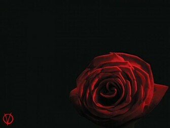 Gena Koch V For Vendetta Wallpaper
