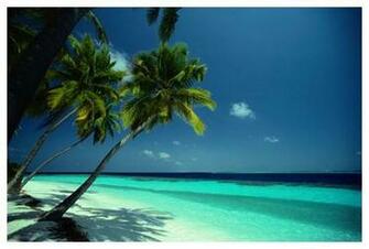 Tropical Beach Wall Mural Wallpaper Other Metro By