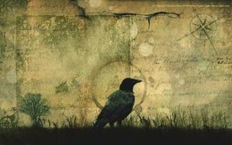 Crow Wallpaper By Tiger Tyger