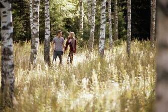 Love Boy Girl Forest Birch Walking Socializing Stock Photos