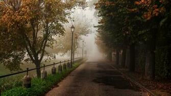 Mystic Road Trees Desktop Pc And Mac Wallpaper