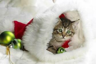 Apple Mac Desktop Wallpaper HD Christmas House Animlas