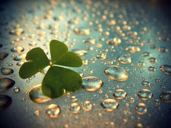 Scenery Wallpaper Best Nature Rainy