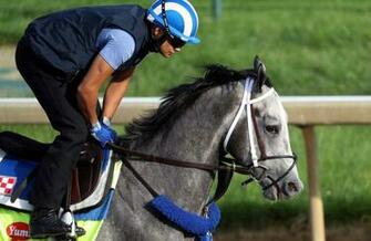 Kentucky Derby Odds Image