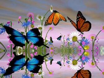 Fantastic Butterfly Screensaver H33t Screensavers Torrent