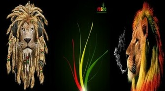 Rasta Lion