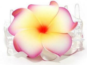 Hawaiian Flower Wallpaper