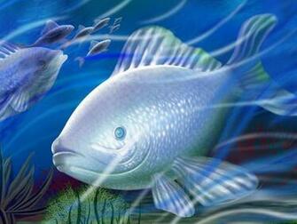 Fish Wallpaper