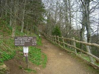 Appalachian Trail Georgia