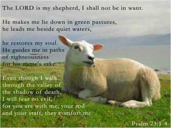 Psalm Niv