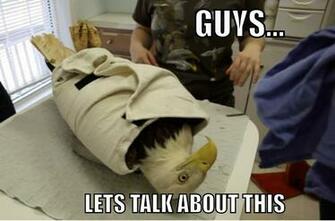 Funny Animals With Captions Widescreen Wallpaper