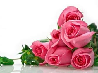 Flowers For Flower Lovers Wallpaper Beautiful Roses