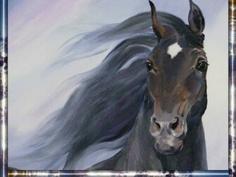 Wild Horse Wallpaper