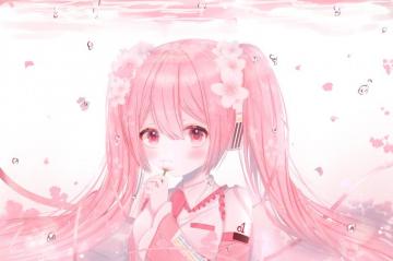 4k Sakura Miku Wallpaper Achtergronden