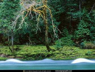 Wilderness Photo Of The Day Picture Photography Wallpaper