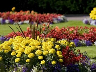 Spring Flowers Wallpaper HD Desktopinhq