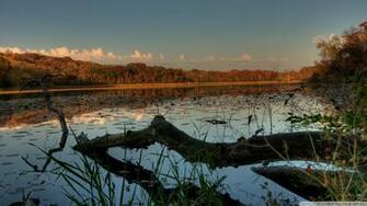 Fallen Jensen Lake Lebanon Hills Park Eagan Minnesota Wallpaper