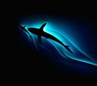 Galaxy S4 S5 Sharks Categoria Wallpaper Samsung
