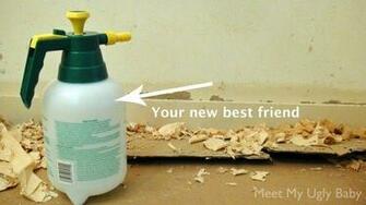 True Op Said Taking Down Wallpaper Minus The Chemicals And Without