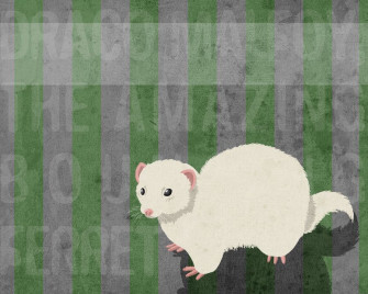 Draco Ferret Wallpaper By Kyuuketsukinousagi Deviantart On