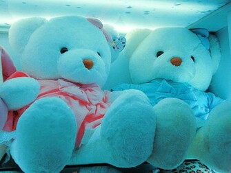 Cute Teddy Bear Wallpaper For Desktop HD Bea