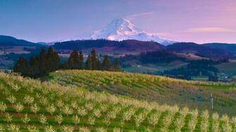 Hood River Oregon Beautiful Scenery Photography