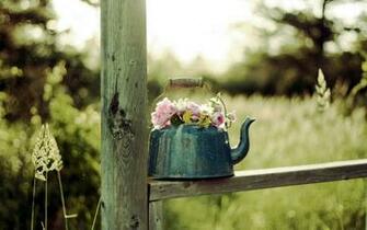 File Name Lovely Flower Pot Wallpaper