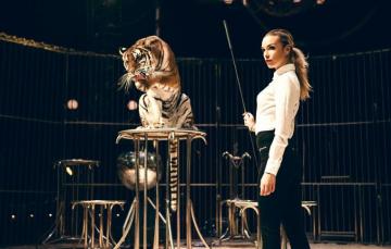 Wallpaper Girl Tiger The Taming Of Christy Image For