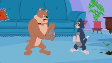 Gallery The New Tom And Jerry Show Animation World Network