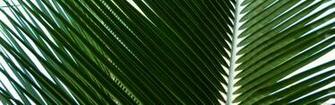 Wallpaper Of The Day Browse Store About Search