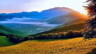 Summer Nature Wallpaper